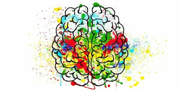 rsz_1rsz_brain-2062048_1280 Brain