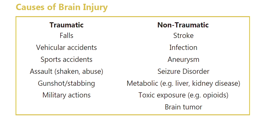 stats page Causes of brain injury
