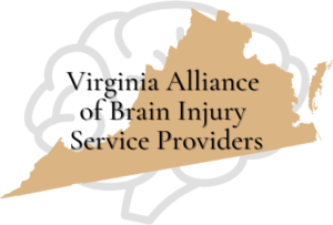 2022.1013 Virginia Alliance of Brain Injury Service Providers Logo