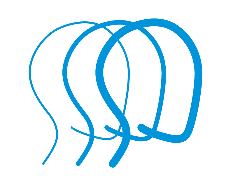 Brain Injury Association of Va Inc logo